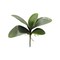 12 Inch Artificial Orchid Leaves Bush for Floral Arrangements and Planters-58806